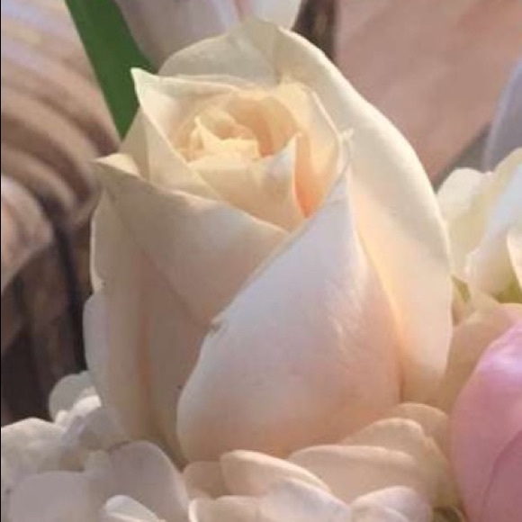 Meet your Posher, Ashley - Picture 1 of 1